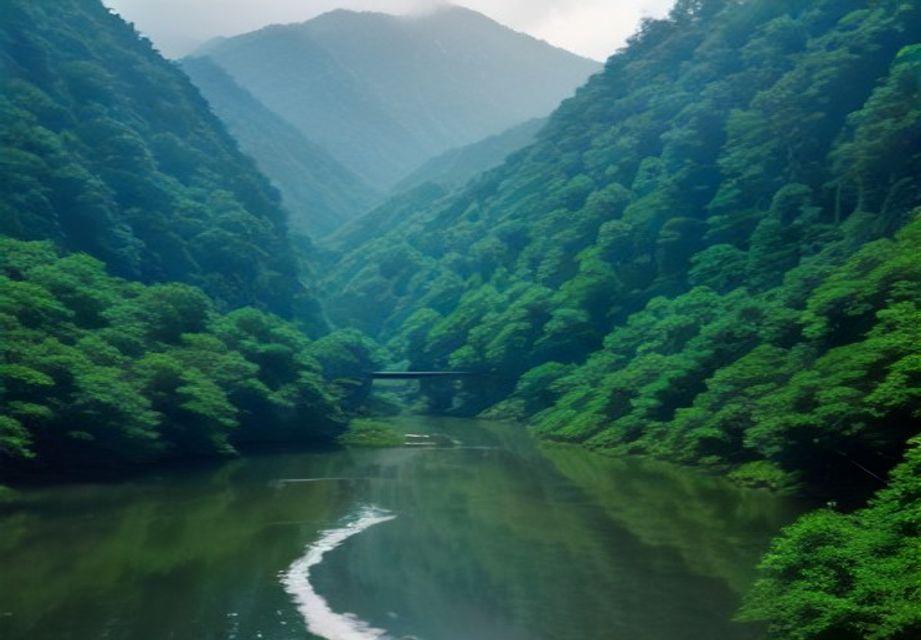 高知の山と川